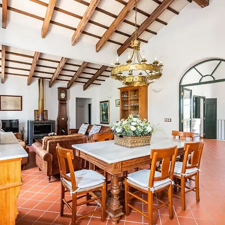 Rafal * 阿莱奥尔