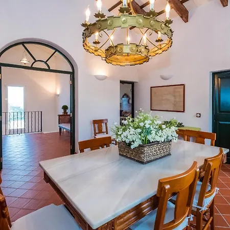 Rafal * 阿莱奥尔